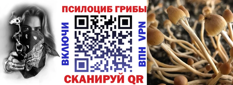 Псилоцибиновые грибы мицелий  Рассказово 